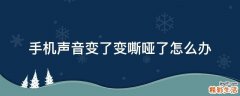 手机声音变了变嘶哑了怎么办