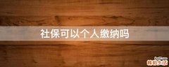 社保可以个人缴纳吗