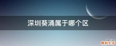 深圳葵涌属于哪个区