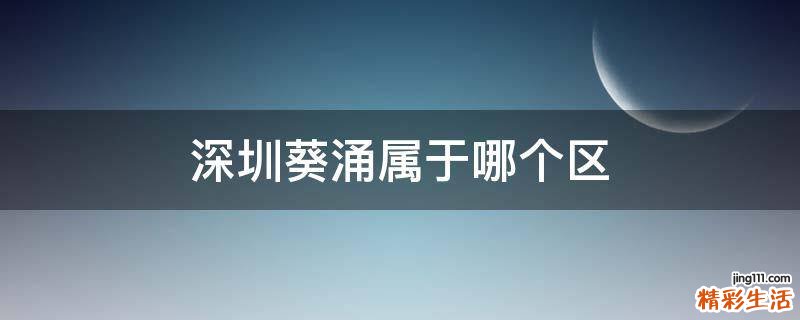 深圳葵涌属于哪个区
