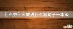 什么把什么放进什么写句子一年级