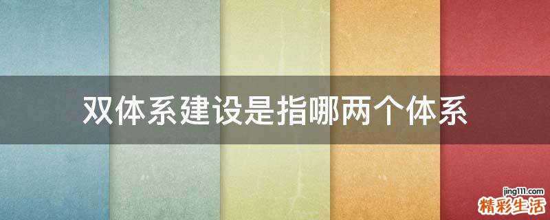 双体系建设是指哪两个体系