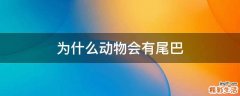 为什么动物会有尾巴