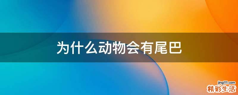 为什么动物会有尾巴