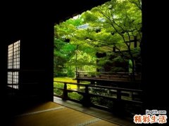 2 龙脷叶