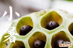 小暑是入伏的意思吗