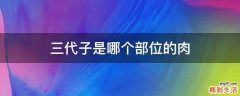 三代子是哪个部位的肉