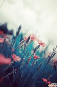 【如何改善假性皱纹】去除假性皱纹的措施