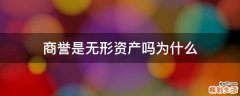 商誉是无形资产吗为什么