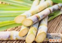 甘蔗可以缓解孕吐吗 孕妇吃甘蔗对胎儿好吗
