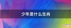 少年是什么生肖