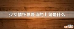 少女情怀总是诗的上句是什么