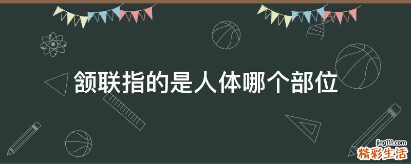 颔联指的是人体哪个部位