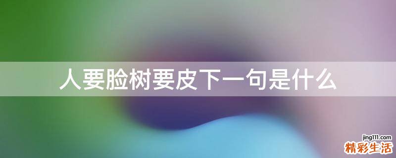人要脸树要皮下一句是什么