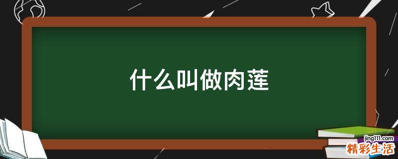 什么叫做肉莲