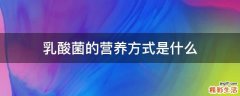 乳酸菌的营养方式是什么