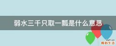 弱水三千只取一瓢是什么意思