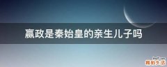 赢政是秦始皇的亲生儿子吗