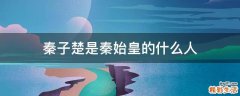 秦子楚是秦始皇的什么人