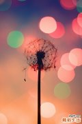 【初夏如何全方位去角质】初夏全方位去角质的所有方法