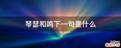 琴瑟和鸣下一句是什么