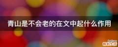 青山是不会老的在文中起什么作用