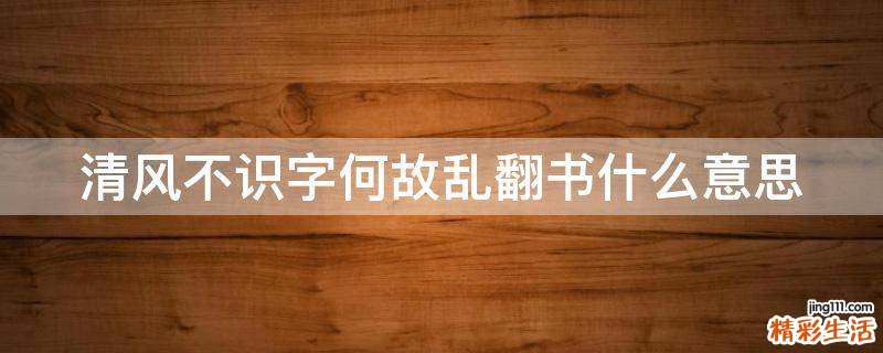清风不识字何故乱翻书什么意思