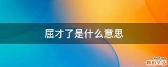 屈才了是什么意思
