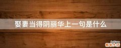 娶妻当得阴丽华上一句是什么