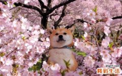 15 40种减压妙招让你生活轻松愉快