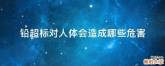 铅超标对人体会造成哪些危害