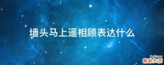 墙头马上遥相顾表达什么