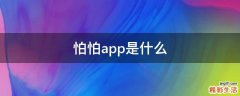 怕怕app是什么