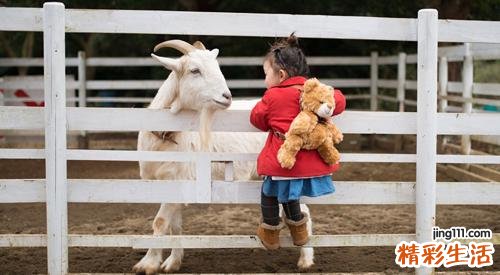 宝宝身高体重不达标怎么办 首先找出原因,才能对症制定调整方案!