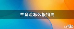 生育险怎么报销男