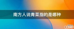 南方人说青菜指的是哪种