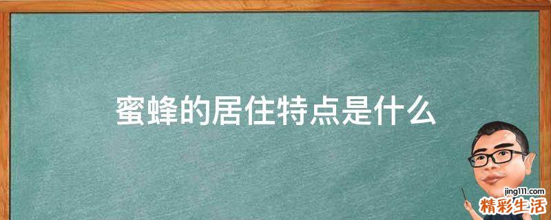 蜜蜂的居住特点是什么