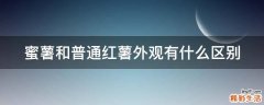 蜜薯和普通红薯外观有什么区别