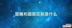 面藕和面筋区别是什么