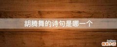 胡腾舞的诗句是哪一个