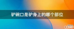 驴碗口是驴身上的哪个部位