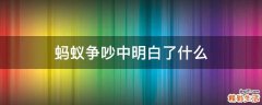 蚂蚁争吵中明白了什么