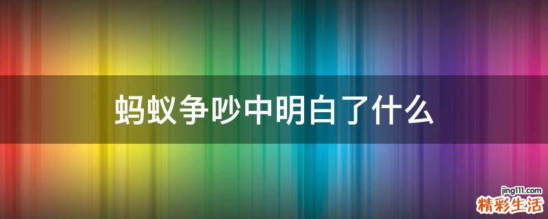 蚂蚁争吵中明白了什么