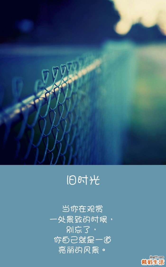 2 鸡筋参
