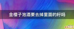 金樱子泡酒要去掉里面的籽吗