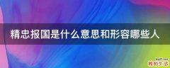 精忠报国是什么意思和形容哪些人