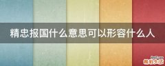 精忠报国什么意思可以形容什么人