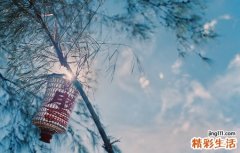 10个心灵鸡汤 让你快乐每一天