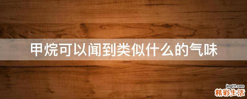 甲烷可以闻到类似什么的气味