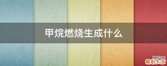 甲烷燃烧生成什么